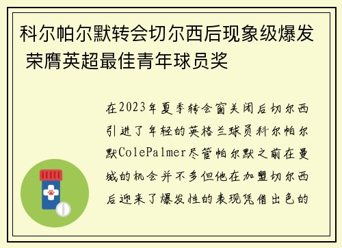 科尔帕尔默转会切尔西后现象级爆发 荣膺英超最佳青年球员奖